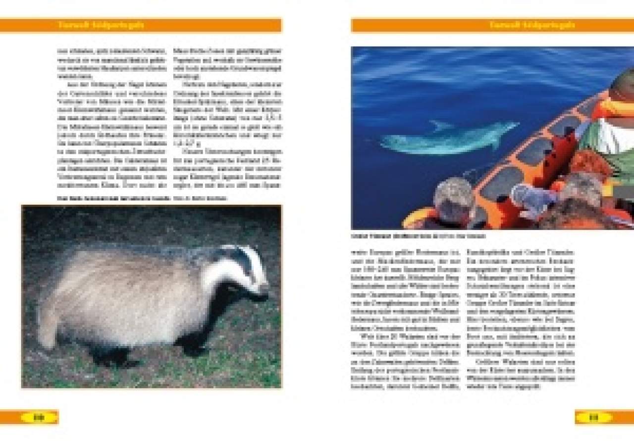 Portugal – Der Süden – Natur und Reise